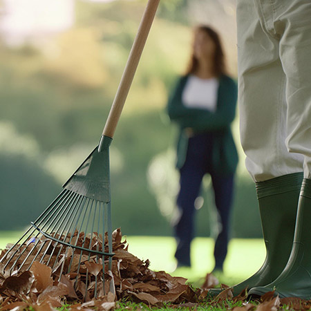 Garden Clearing Services in London